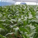 흙내음농장 이미지