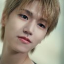 안식처