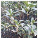 태양농산 태양광발전소 이미지