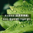 (유)플러스건설 | 四字成語 총정리 <ㅂ> 402 부귀초두로~부남시장