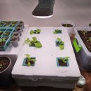 안방농장 이미지