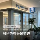 덕은하이동물병원 | 덕은동 동물병원 덕은하이동물병원 강아지 건강검진 찐후기