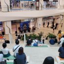 강남-173 이미지