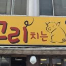 원조꼬리치는돼지 이미지
