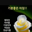 동행상사 이미지