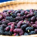 성도건강원 이미지