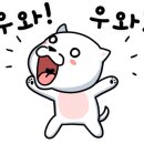 모터하우스 이미지