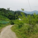 백옥동농장 네이버블로그