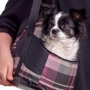 이프동물의료센터 이미지