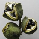 문관농장 이미지