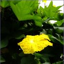 대성삼거리 이미지