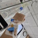 정공단로 40 | 나의 병원일기 3편. 자궁내막증 수술 당일~1일차 후기