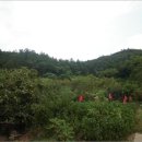 완도읍-1 이미지