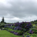 동광리-8 이미지