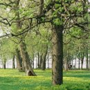 주식회사부동산중개법인부공연 이미지