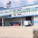 장성군농협조합공동사업법인 티스토리