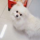 대차경로당 | 새로 오픈한 구리시립 갈매도서관 방문기