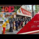 부일카인테리어 이미지