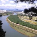 군청 앞 이미지