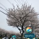 평화로주유소 이미지