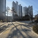 한강센트럴자이1단지 Daum카페