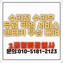 레이스카자동차부분정비공업사 | 연산동 자동차 판금도색 보험수리 / 자차 대물 보험처리 외형복원 픽업