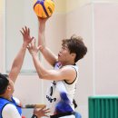 상남생활체육공원 체육관 이미지