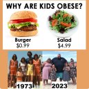 당신을 뚱뚱하게 만드는 상위 10가지 화학 물질 목록 이미지