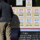 전세 매물 줄고 이주 수요 폭증⋯2028년 세입자 '고비' 이미지