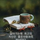 개성진 찹쌀 순대 네이버블로그