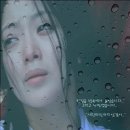 연지화