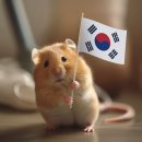 에코동물병원 이미지