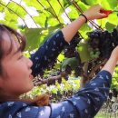 김창선농장 이미지