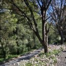 그린나무영월 이미지