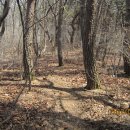 선석산 등산로 이미지