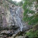 유 애 묘 이미지