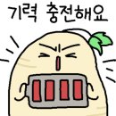 합천머물당글램핑 이미지