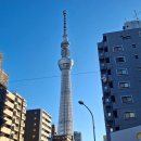 태원자동차정비 | #Day 2 너덜너덜 도쿄 여행기