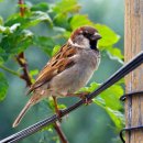 손지농장 이미지