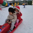 능곡숲어린이집 이미지