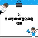 루씨루씨애견유치원 이미지