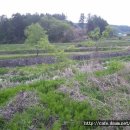 개울가 펜션 이미지