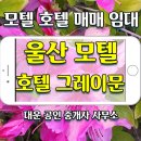 보금모텔 이미지