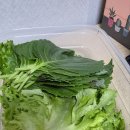 미원광고 | [광고]성시경 수육 레시피로 만든 우리의 저녁식사