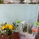 월곶초교 이미지