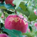 곡은농장 이미지