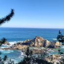 거진항공인중개사사무소 이미지