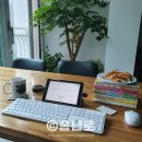 6월 일상 : 투 머치 휴식