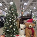 트레이더스 홀세일클럽 서면점 이미지