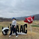 르꼬끄골프신세계 - 의정부시 평화로 525 | 아페쎄골프 A.P.C. Golf 모 100퍼센트 니트 XS사이즈